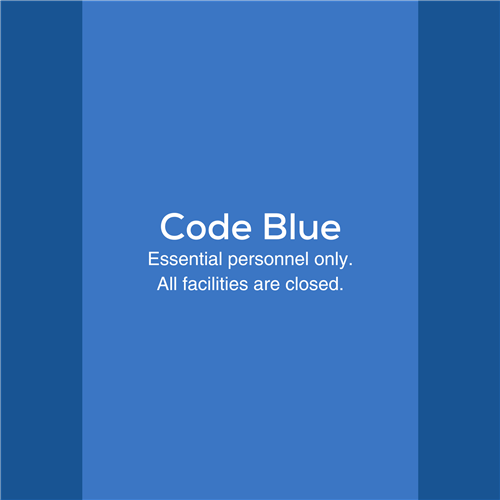 Infographic highlighting Code Blue as detailed in the text.
